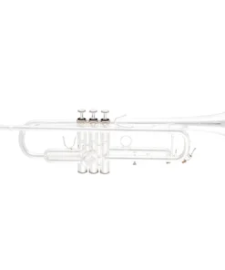 Bach BTR411 Intermediate Series Bb Trąbka Dzwonek z żółtego mosiądzu posrebrzany