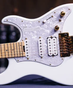 ESP SNAPPER TAKAMIY Custom