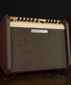 Fishman Loudbox Mini z Bluetooth